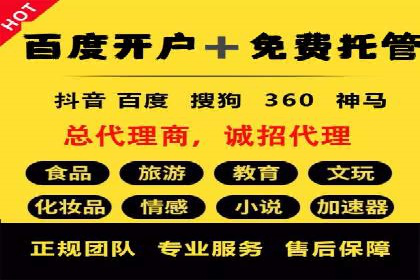竞价推广中的着陆页策略：成功案例解读